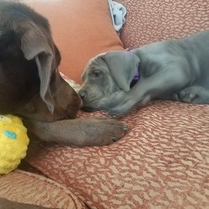 Meet your Posher, Victoria